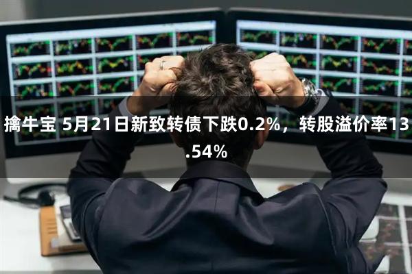 擒牛宝 5月21日新致转债下跌0.2%，转股溢价率13.54%