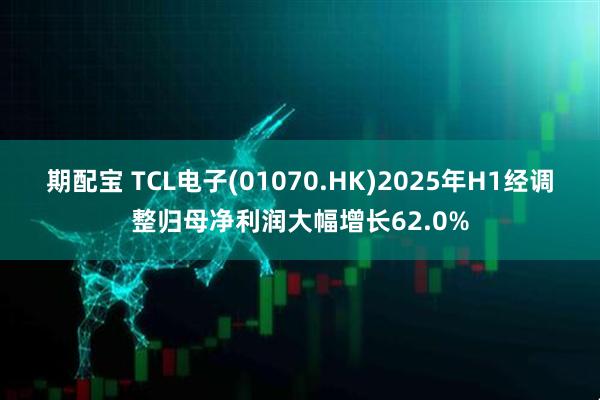 期配宝 TCL电子(01070.HK)2025年H1经调整归母净利润大幅增长62.0%