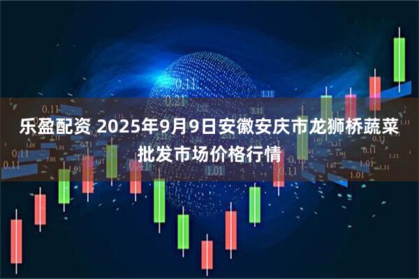 乐盈配资 2025年9月9日安徽安庆市龙狮桥蔬菜批发市场价格行情