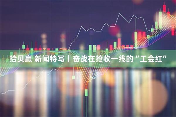 拾贝赢 新闻特写丨奋战在抢收一线的“工会红”